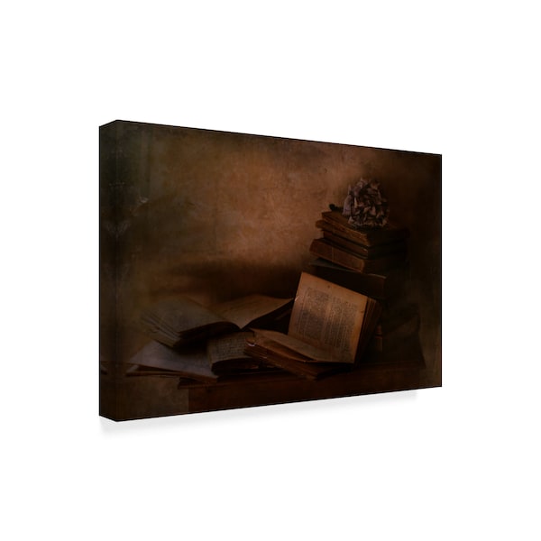 Delphine Devos 'Old Books' Canvas Art,30x47